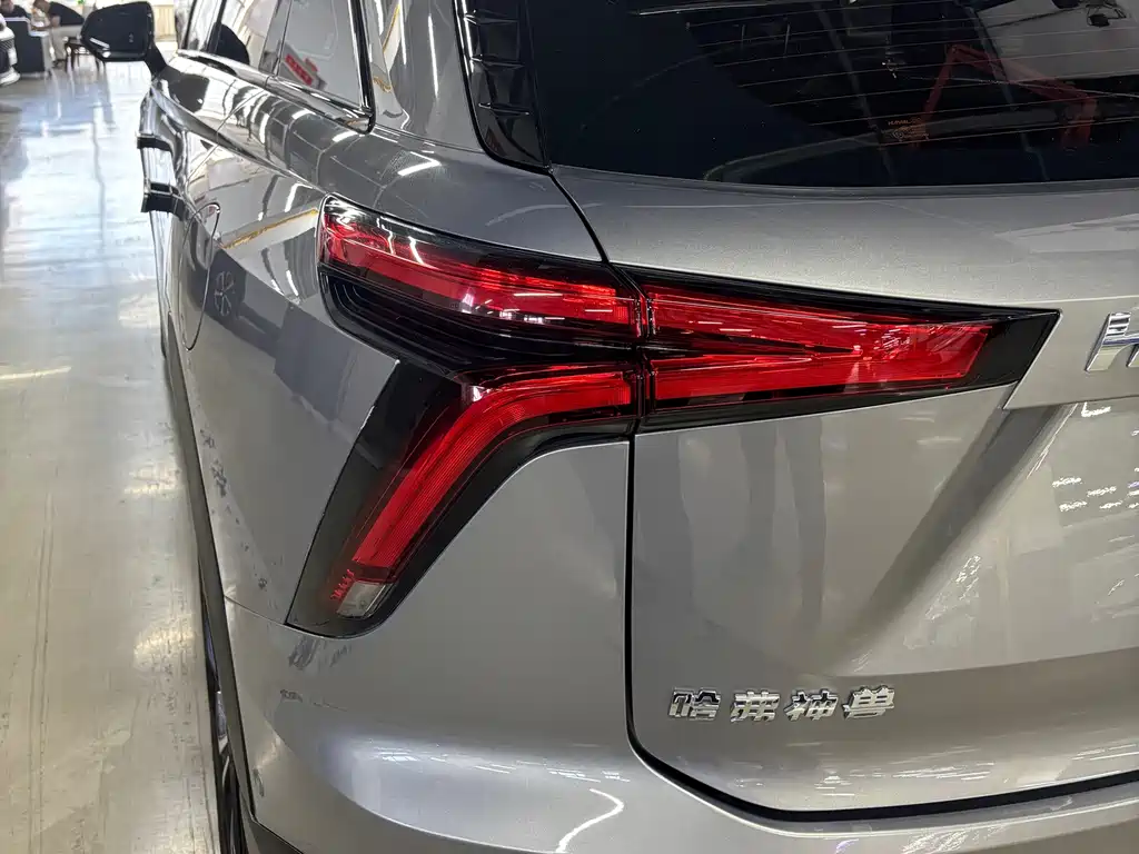 Haval Shenshou — миниатюра 13