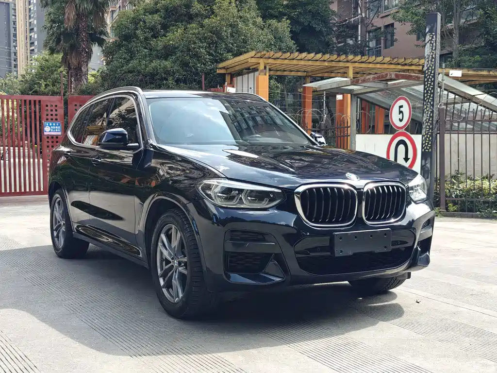 BMW X3 — миниатюра 3