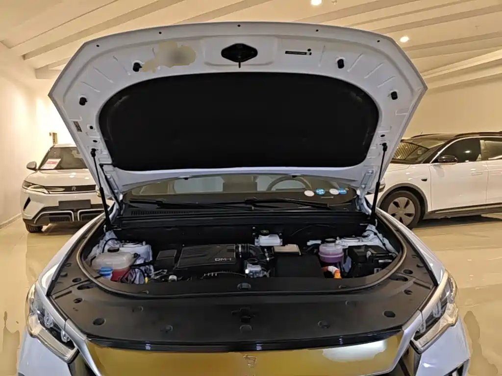 BYD Pro New Energy — миниатюра 20