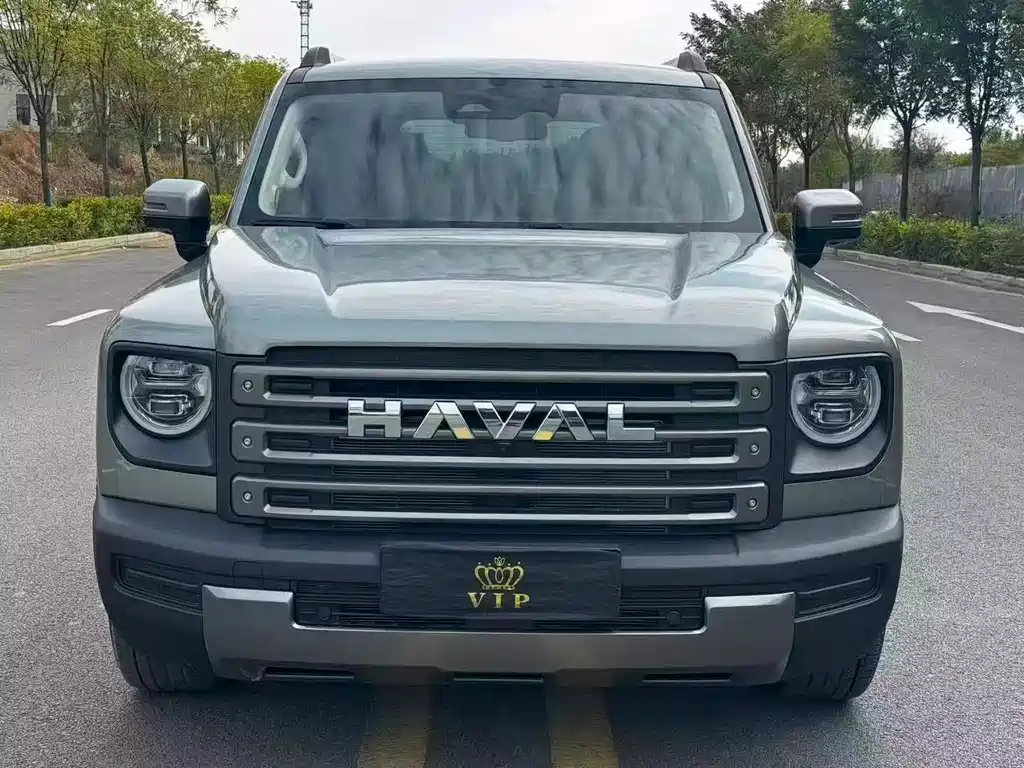 Haval Menglong New Energy — миниатюра 2