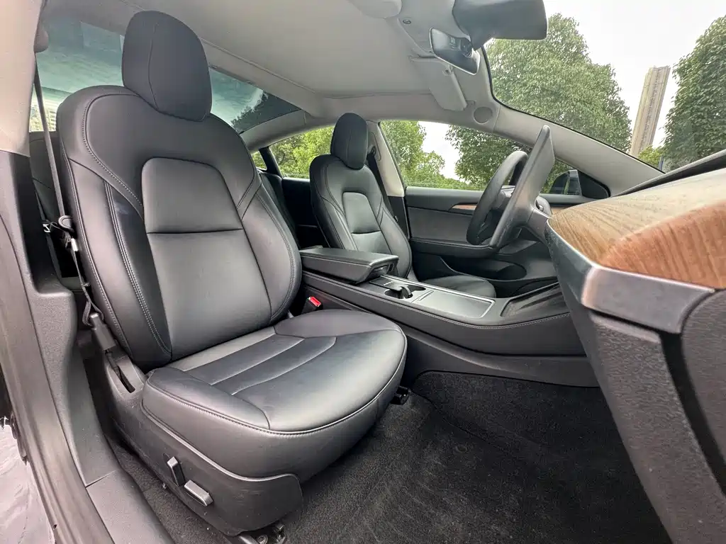 Tesla Model 3 — миниатюра 13