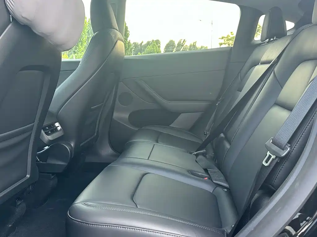 Tesla Model Y — миниатюра 6