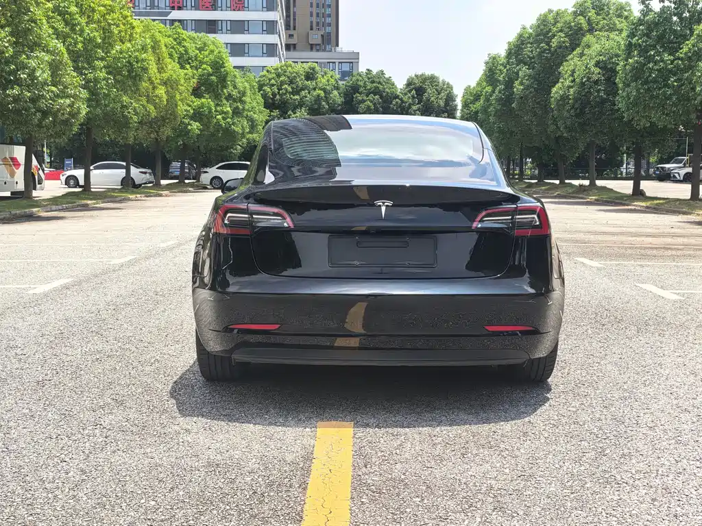 Tesla Model 3 — миниатюра 6
