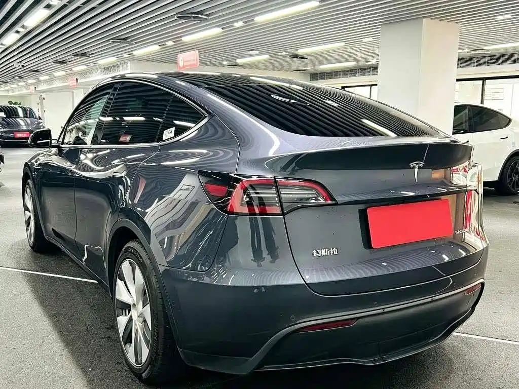 Tesla Model Y — миниатюра 6