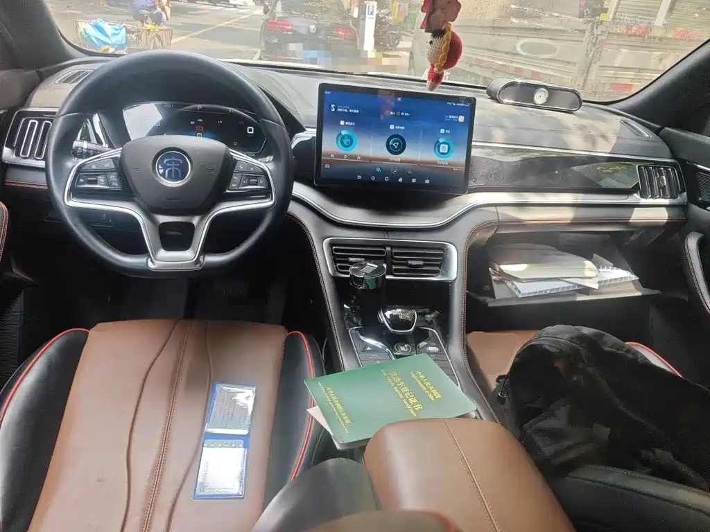 BYD PLUS — миниатюра 5