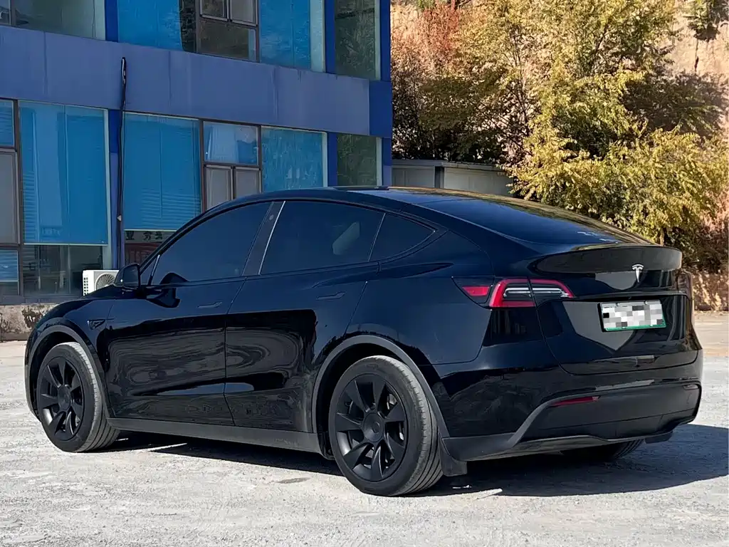 Tesla Model Y — миниатюра 6