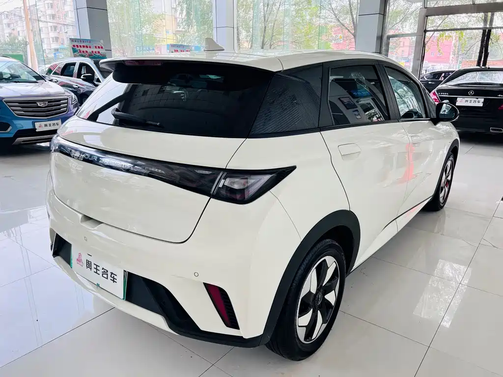 BYD Dolphin — миниатюра 9