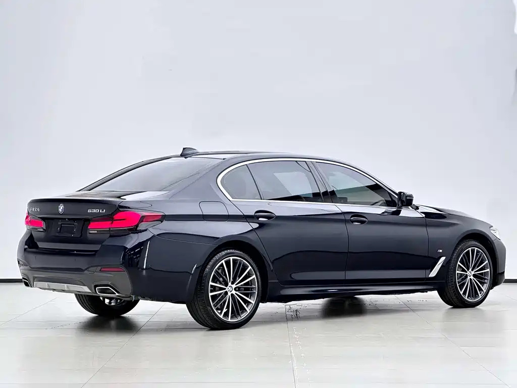 BMW 5 Series — миниатюра 2