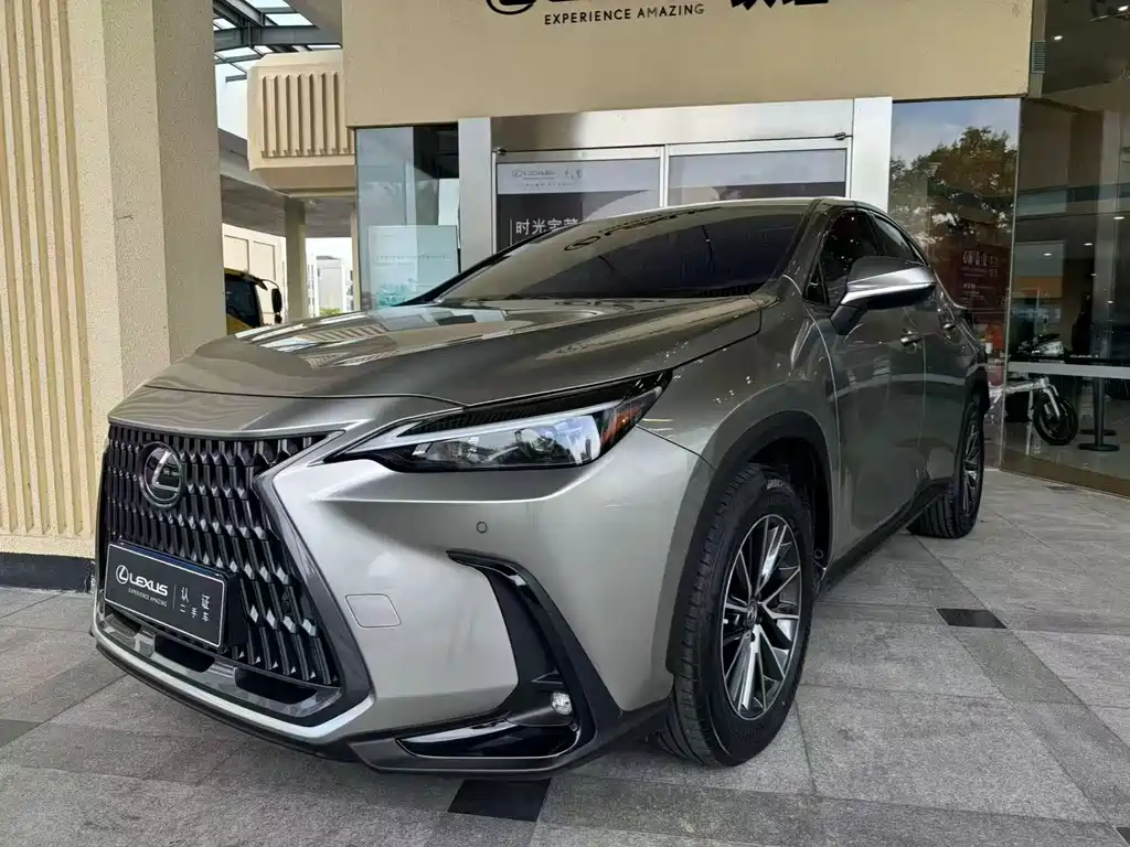Lexus NX 2024 260 FWD Create Joy Edition