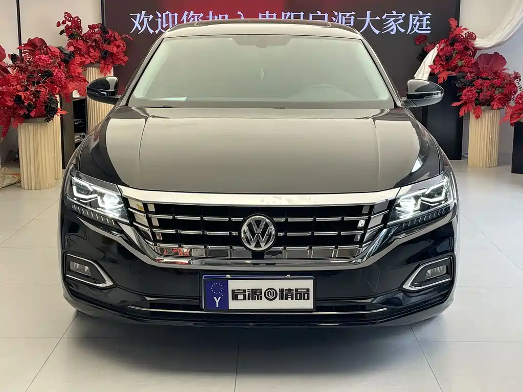 Volkswagen Passat — миниатюра 2