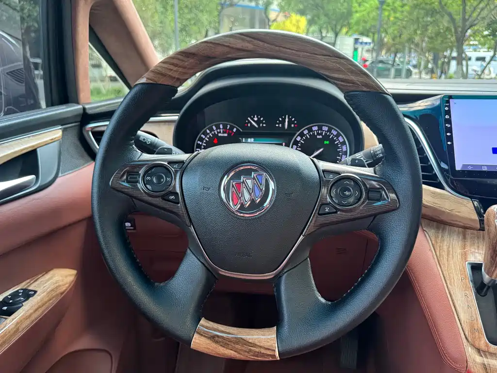 Buick GL8 — миниатюра 16
