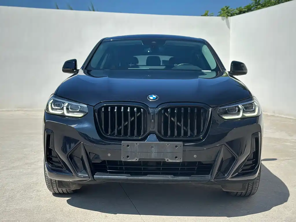 BMW X4 — миниатюра 2