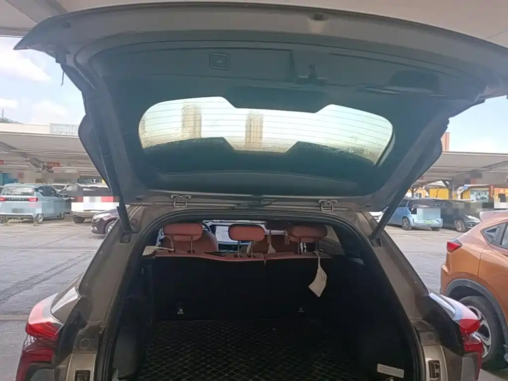Haval Shenshou — миниатюра 19