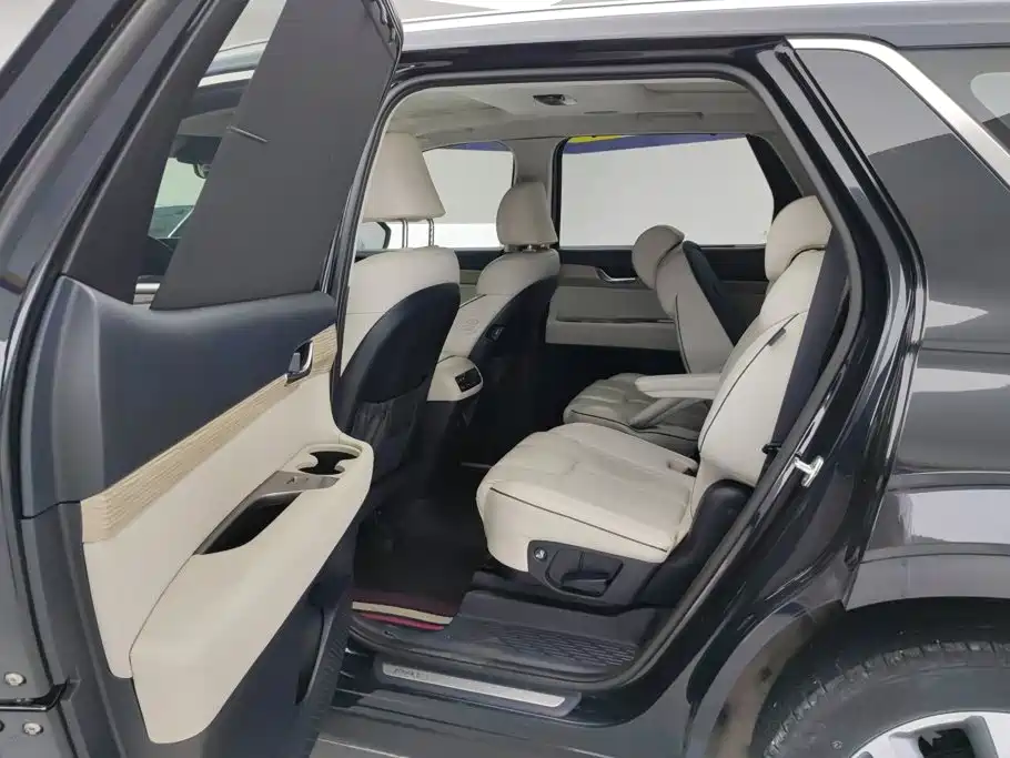 Hyundai Palisade — миниатюра 11