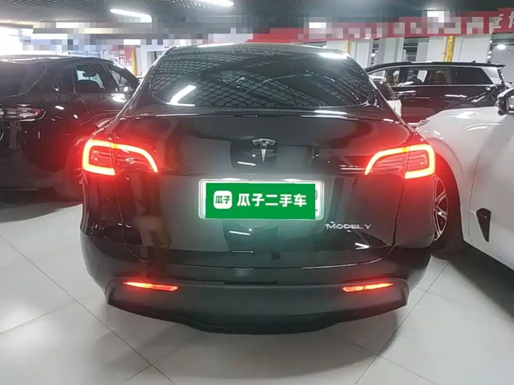 Tesla Model Y — миниатюра 6