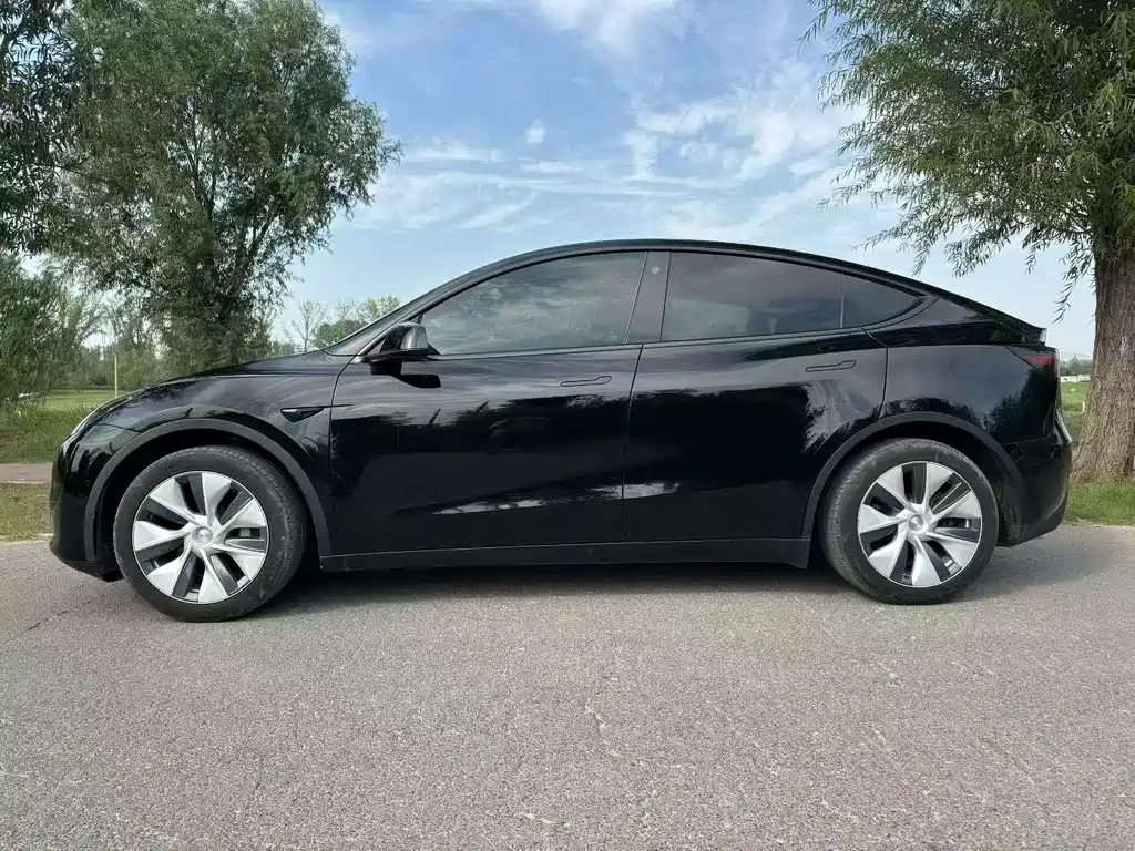 Tesla Model Y — миниатюра 9