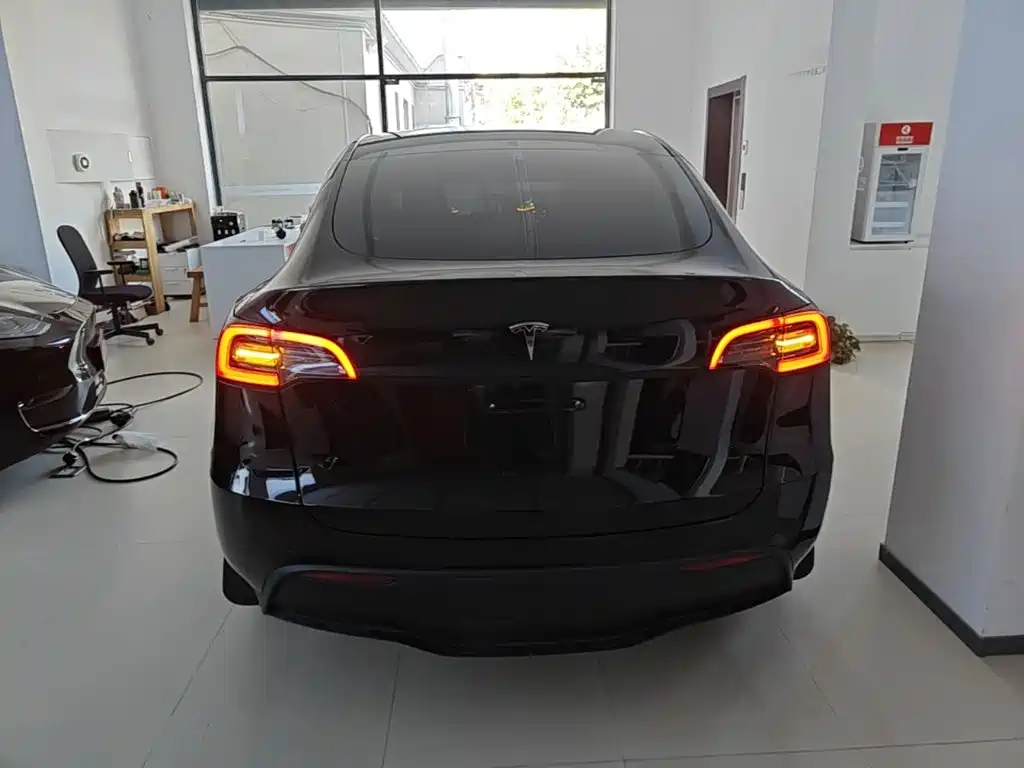 Tesla Model Y — миниатюра 6
