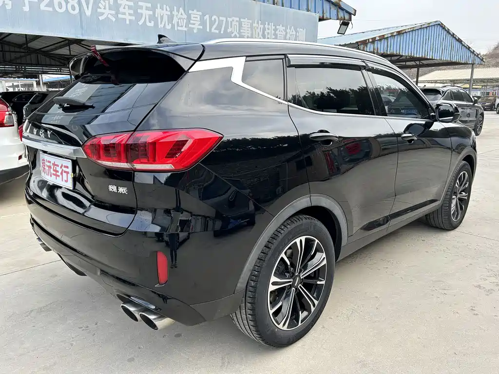 WEI PAI WEI BRAND VV6