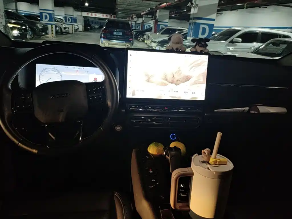 Haval Big Dog PLUS New Energy — миниатюра 11