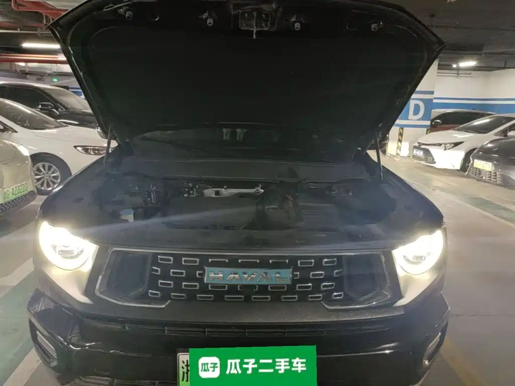 Haval Big Dog PLUS New Energy — миниатюра 22