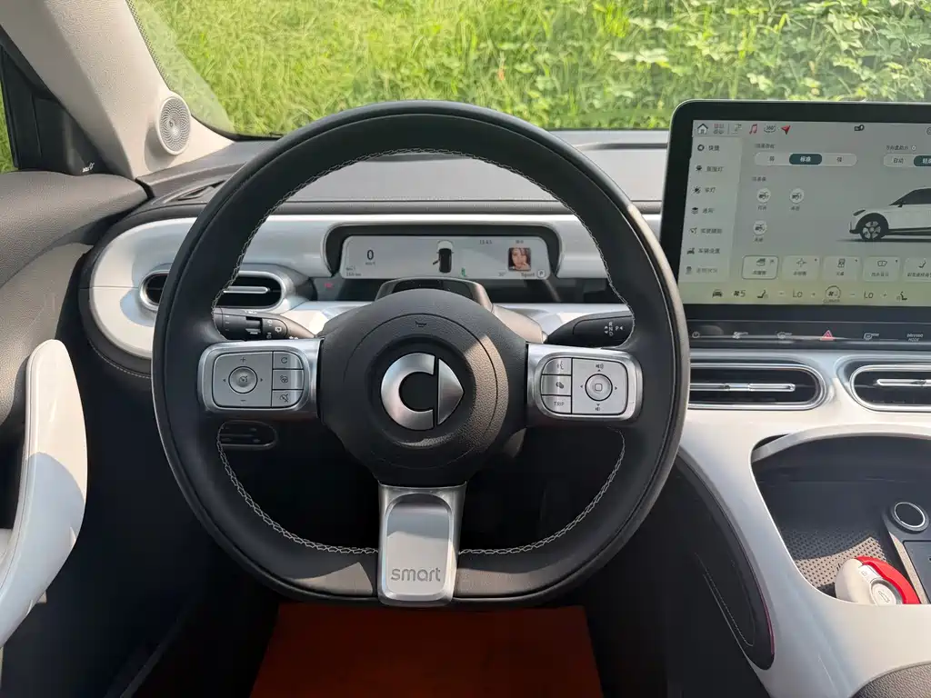 smart Smart #1 — миниатюра 11