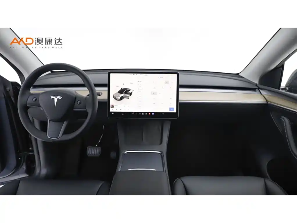 Tesla Model Y — миниатюра 5