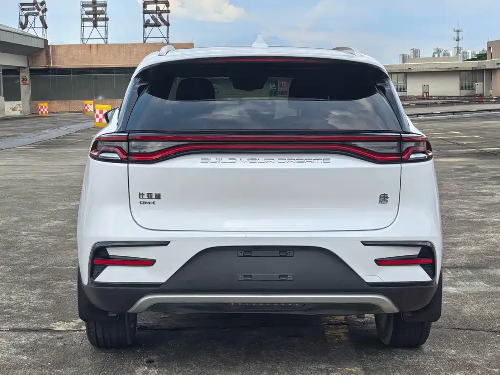 BYD Tang New Energy — миниатюра 4