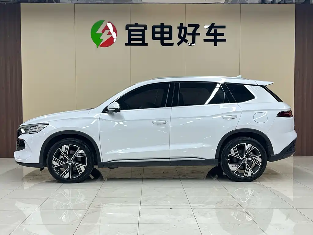 BYD SONGJIANG NEW ENERGY