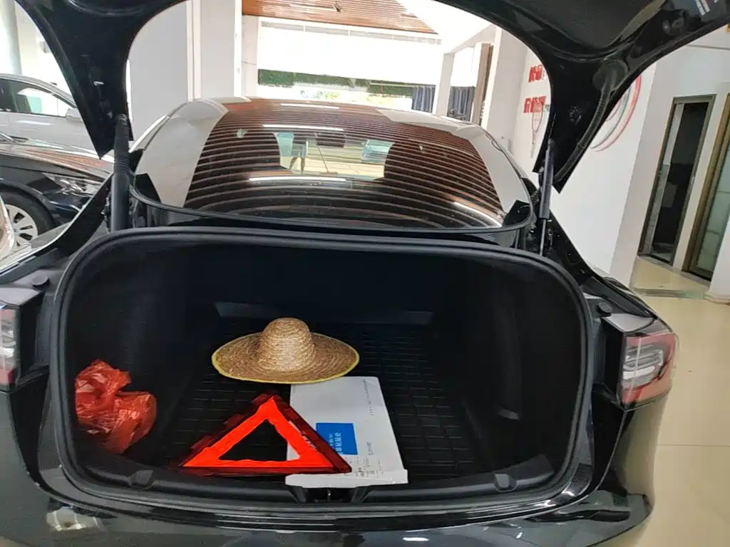 Tesla Model 3 — миниатюра 19