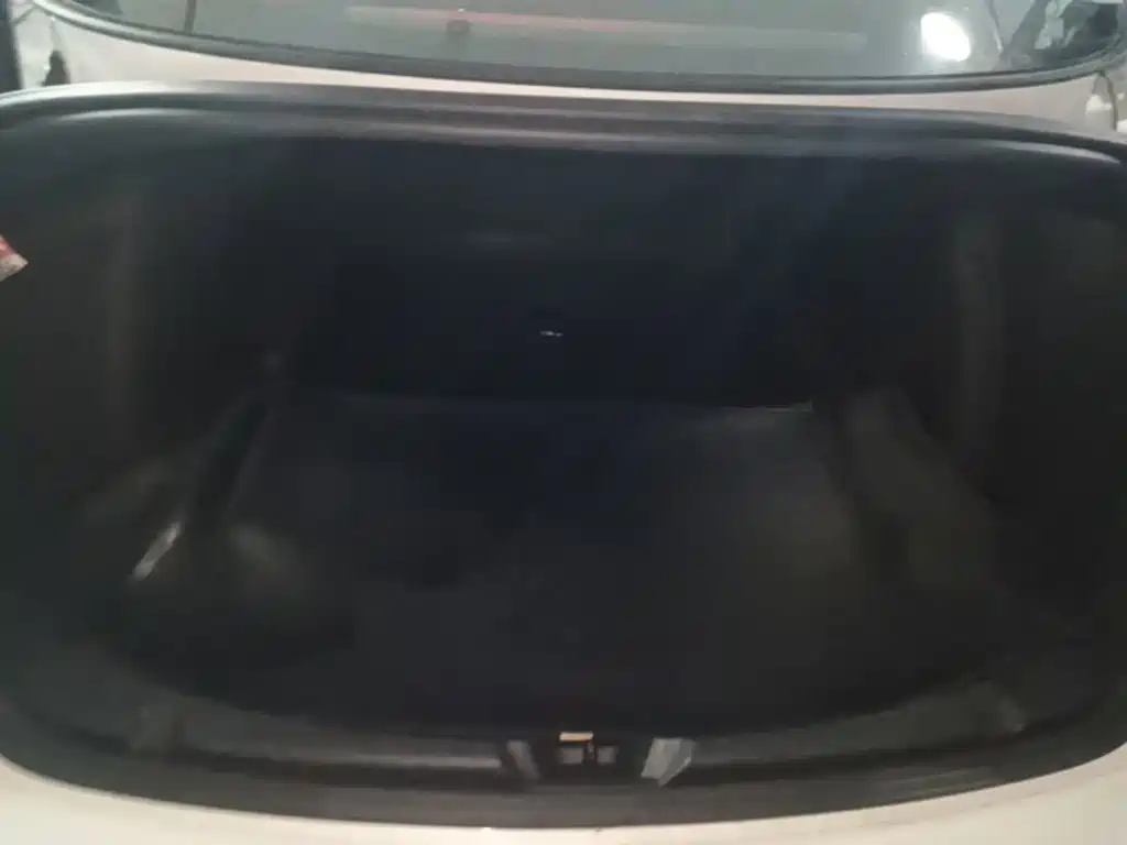 Tesla Model 3 — миниатюра 19