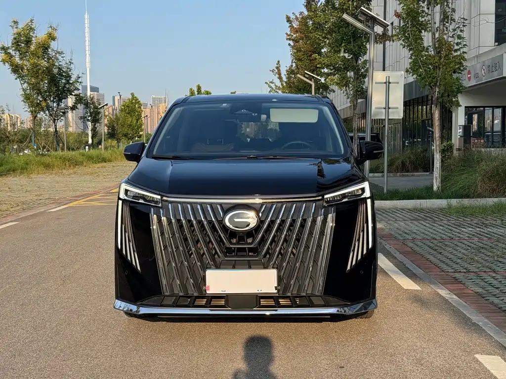 GAC Motor Trumpchi M8 — миниатюра 2