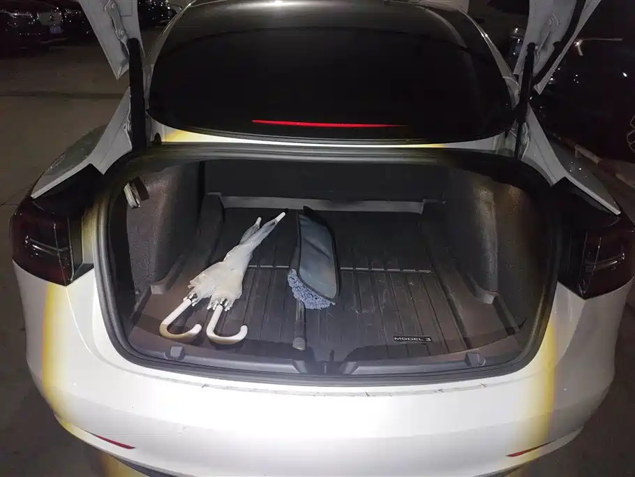 Tesla Model 3 2022 Performance