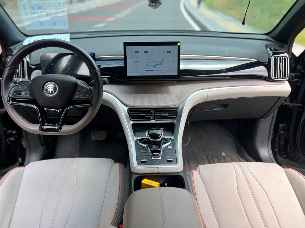 BYD Pro New Energy - фото 12