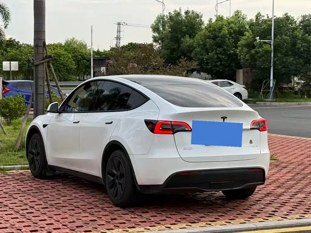 Tesla Model Y — миниатюра 8