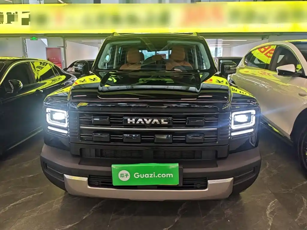 Haval Menglong New Energy — миниатюра 3