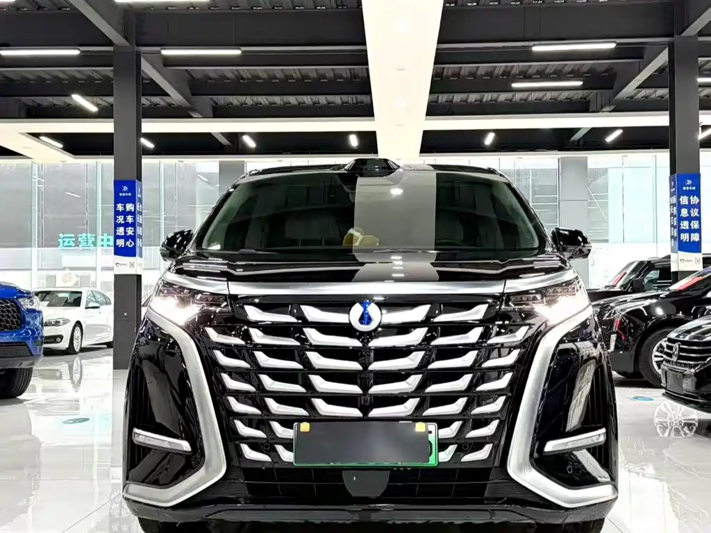 Denza Denza D9 — миниатюра 4