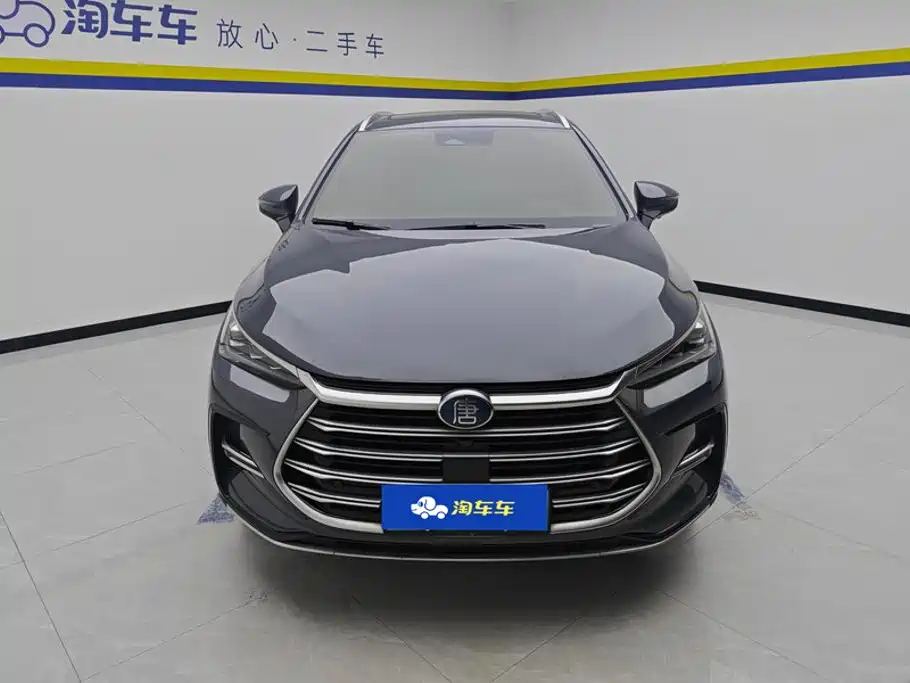 BYD Tang New Energy — миниатюра 2
