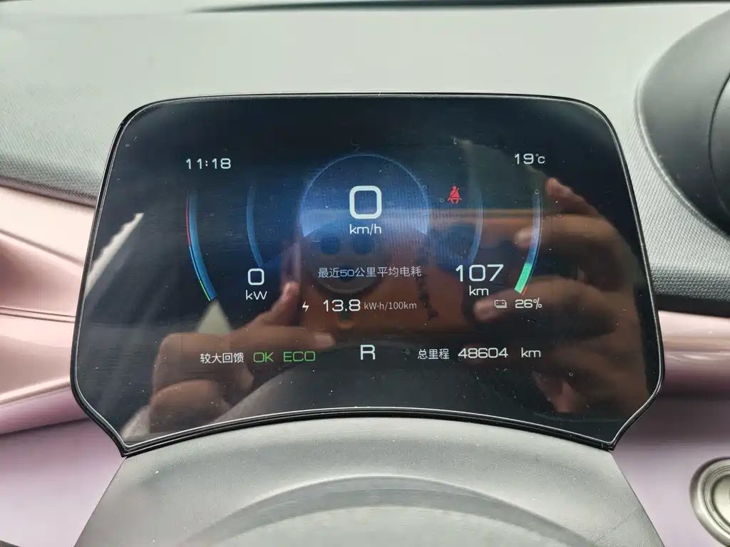 BYD Dolphin — миниатюра 13