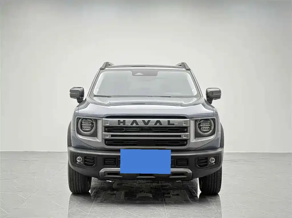 HAVAL BIG DOG
