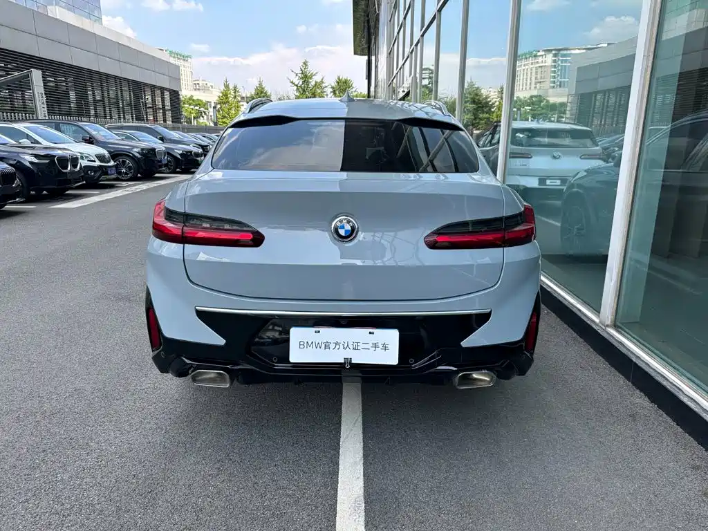 BMW X4 — миниатюра 5