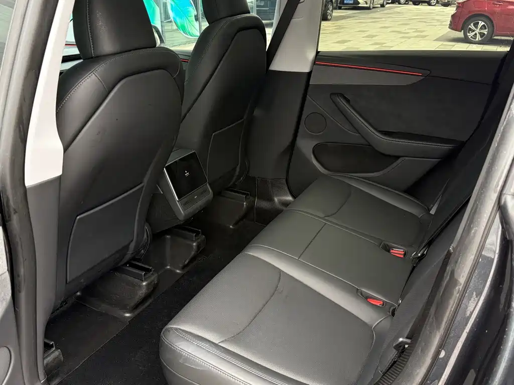 Tesla Model Y — миниатюра 19