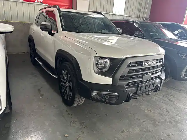 HAVAL BIG DOG