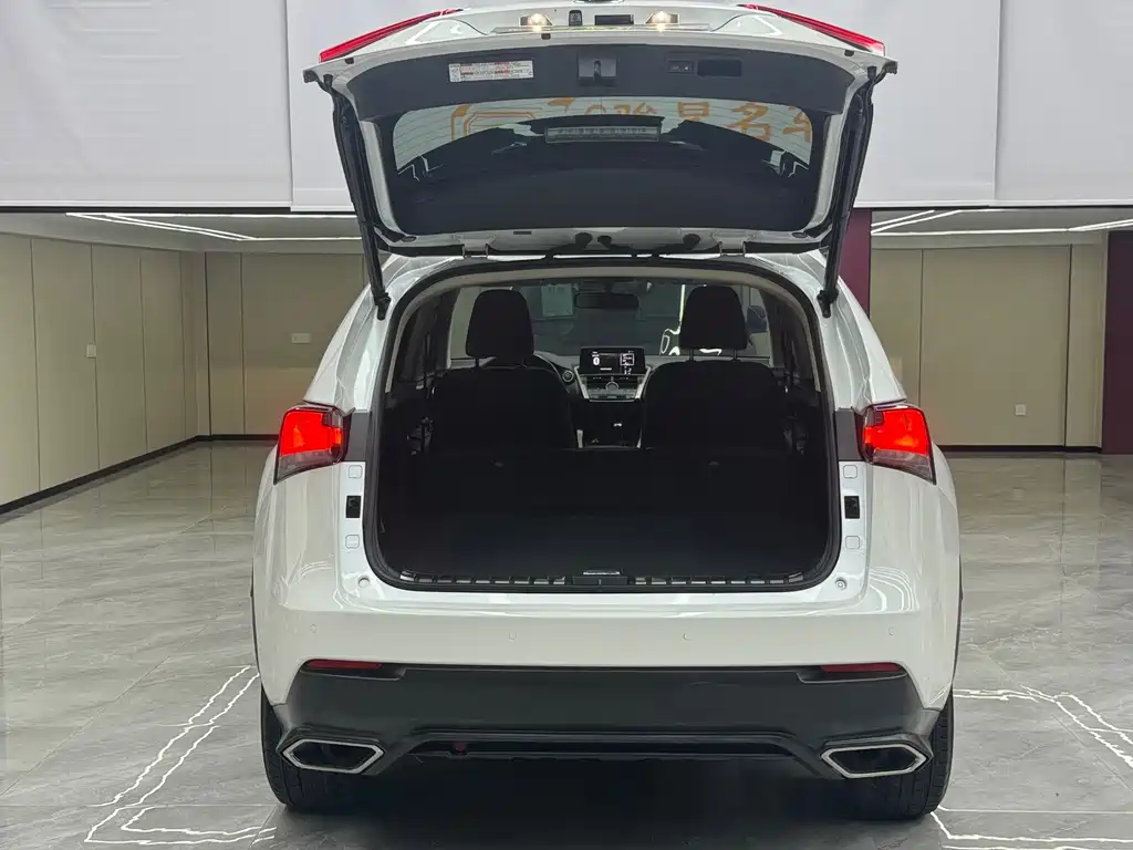 Lexus NX — миниатюра 23
