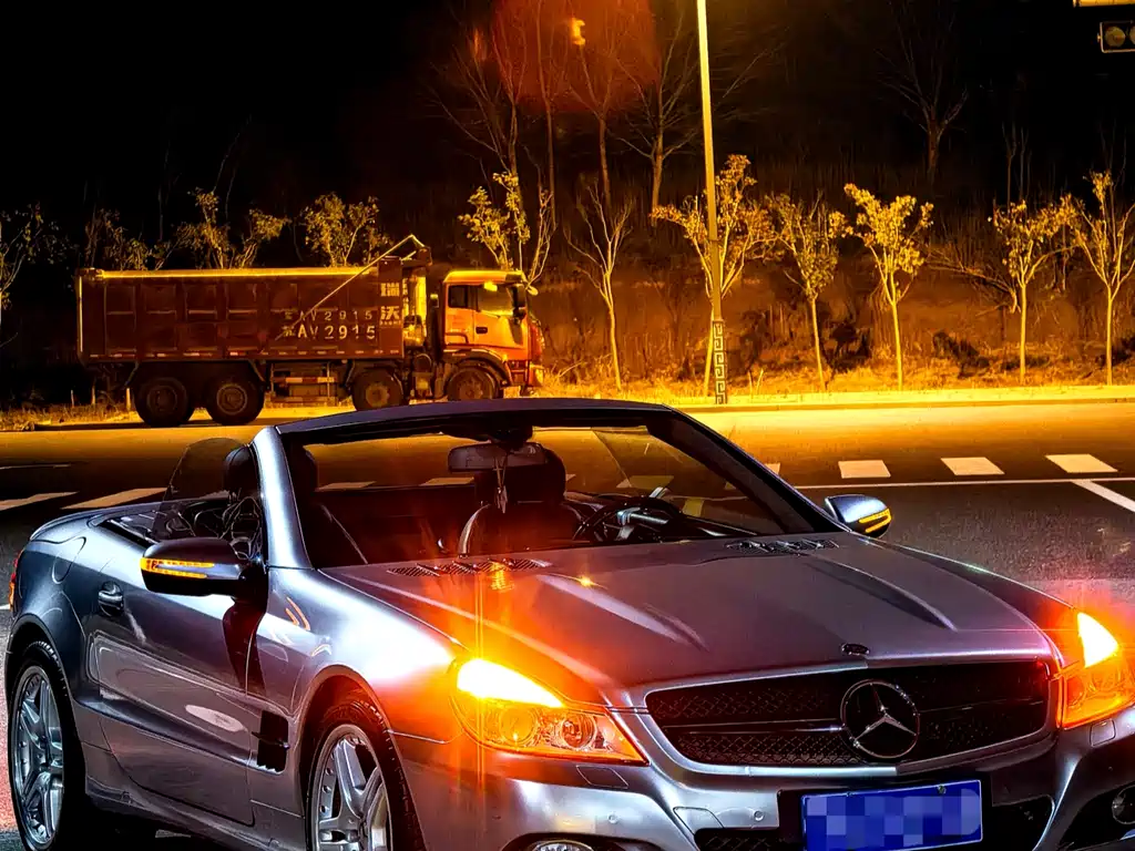 Mercedes-Benz SL 2010 SL 300