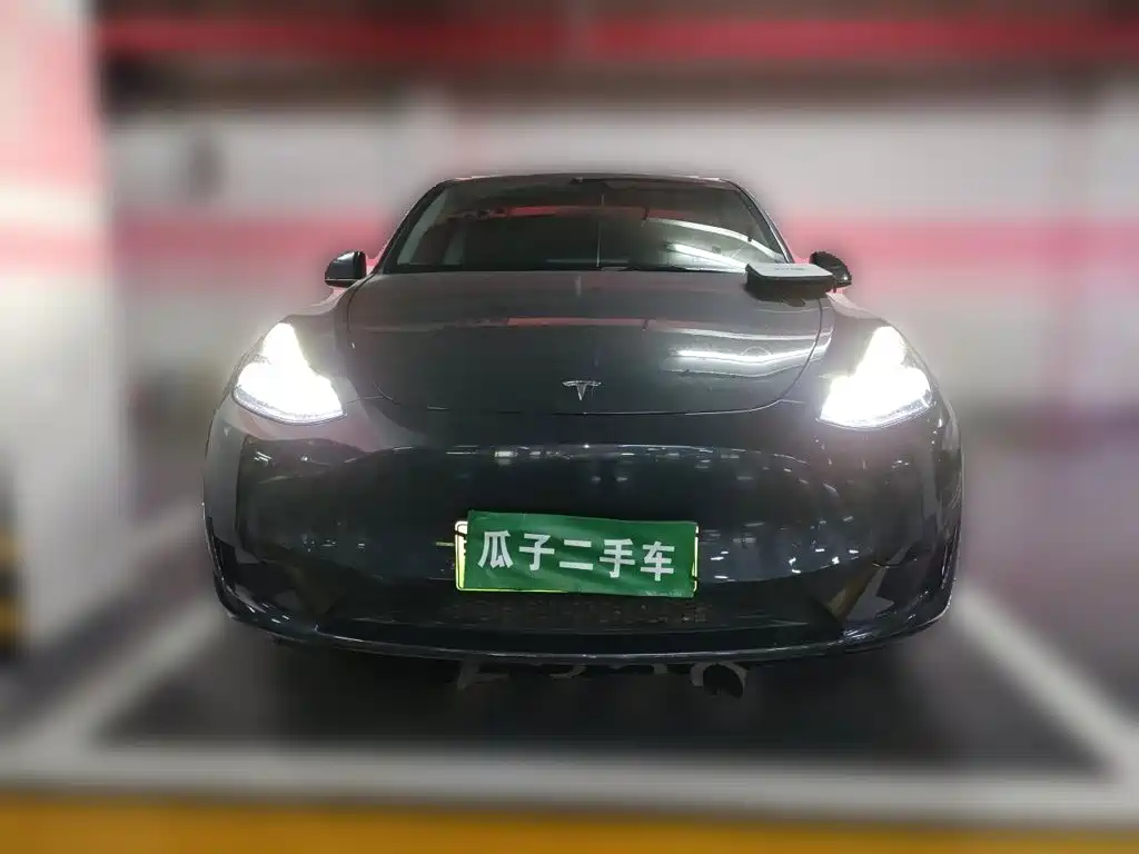 Tesla Model Y — миниатюра 2