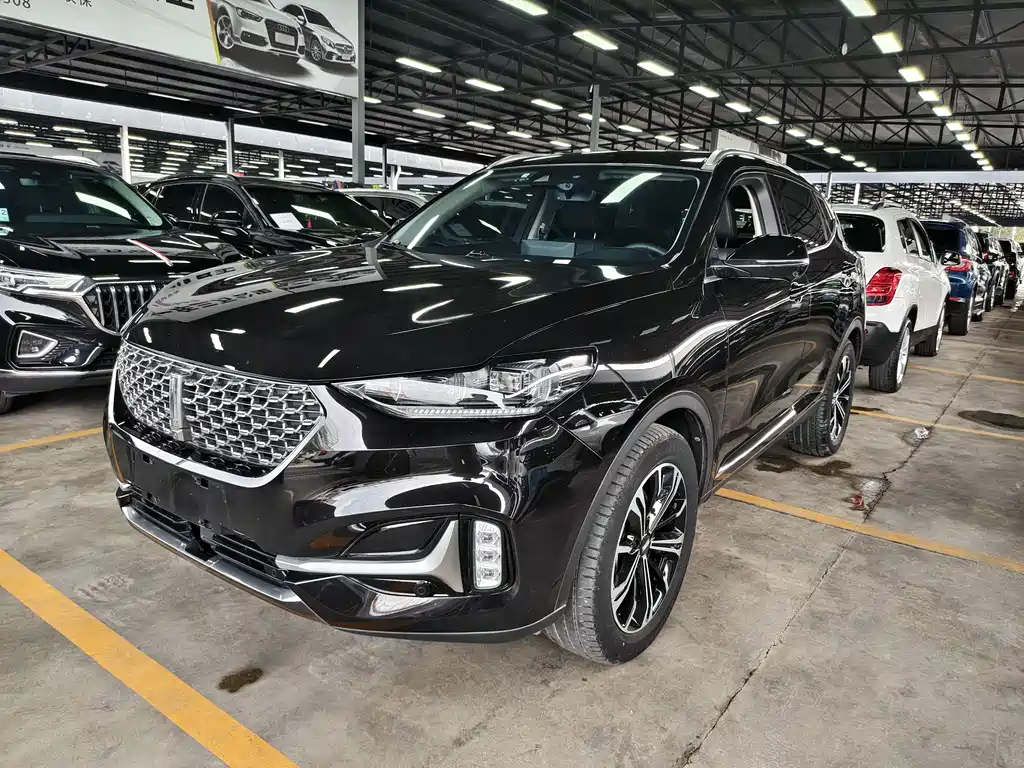 Wey Wey VV6 2020