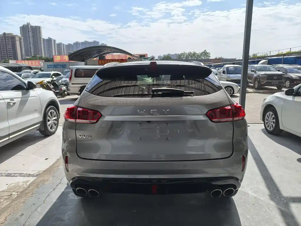 WEI PAI WEI BRAND VV5