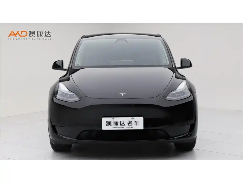 Tesla Model Y — миниатюра 2