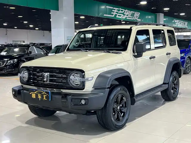 2025 TANK 300