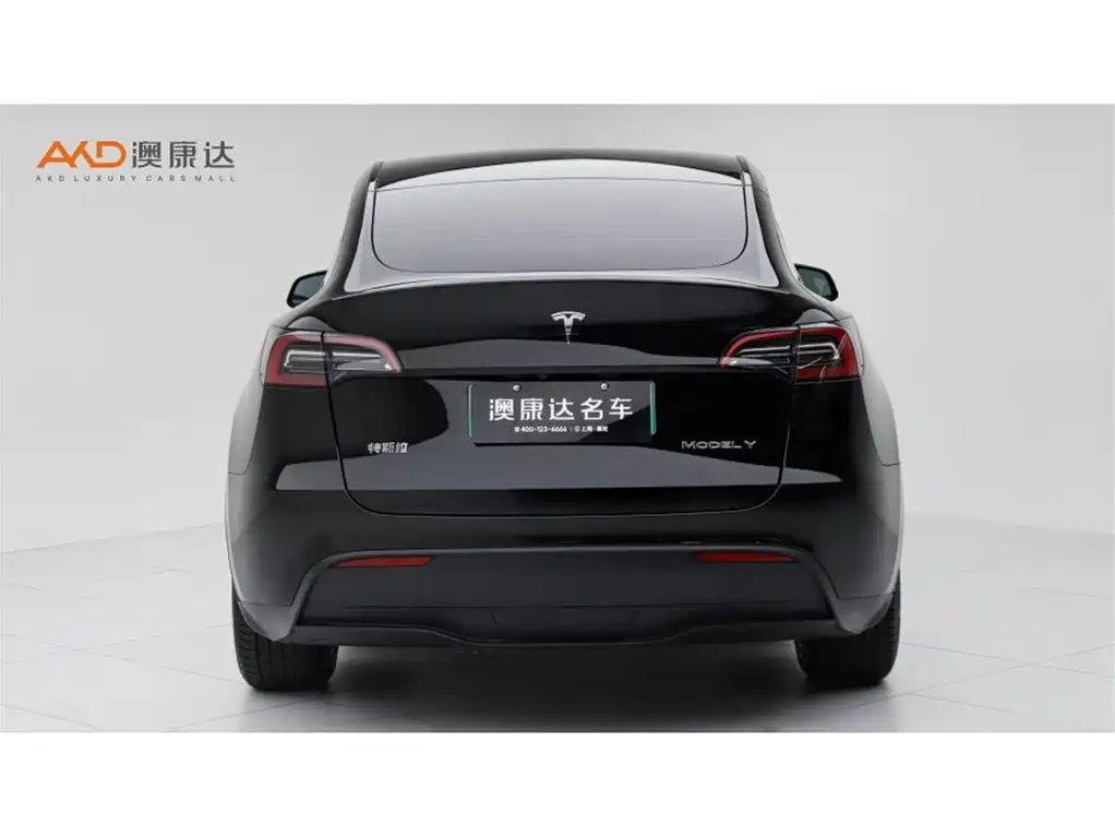 Tesla Model Y — миниатюра 4